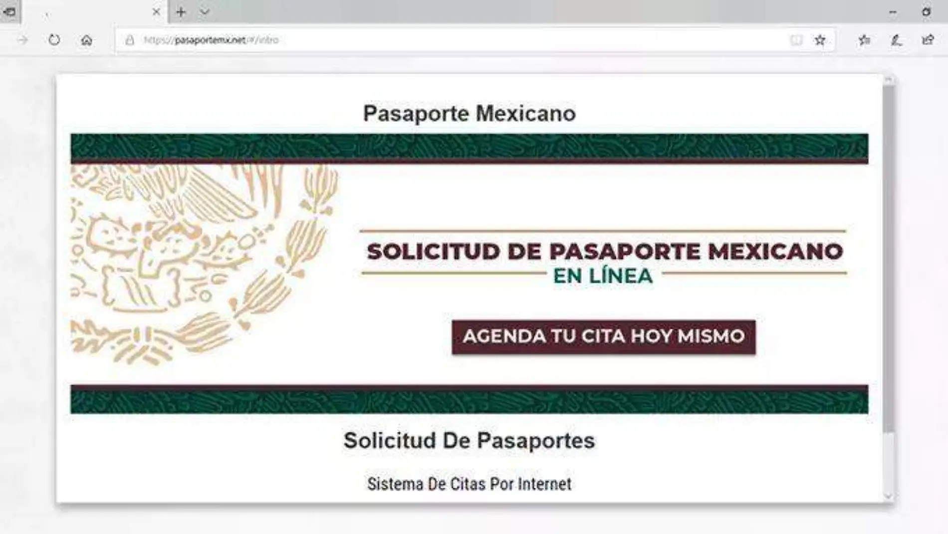 pagina falsa visas